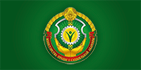 Icon-2-1