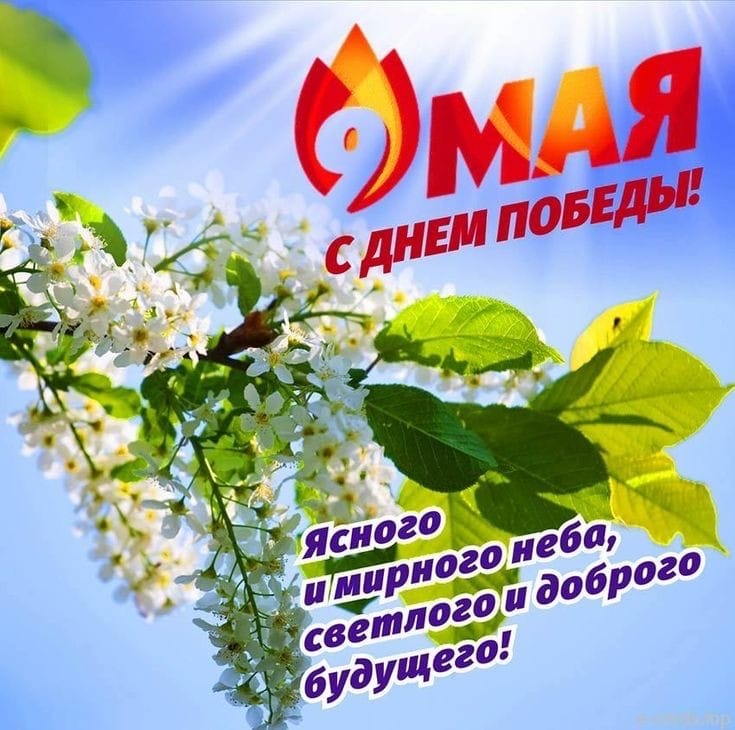 изображение_viber_2025-05-09_12-04-29-719